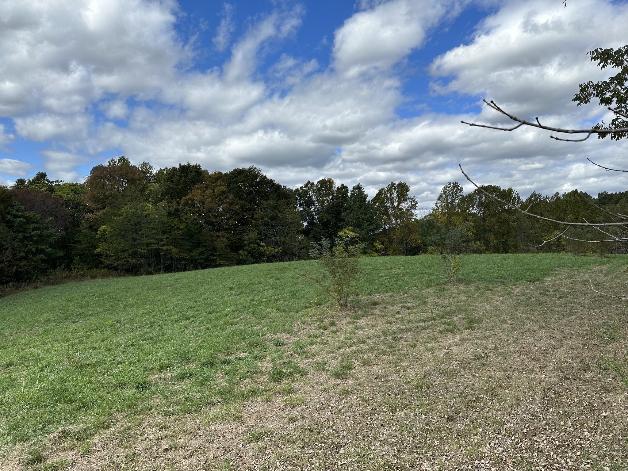 Image 2 of 24 For 9290 125th Avenue