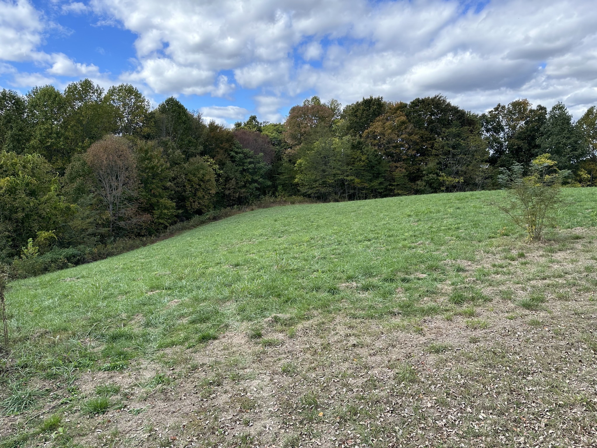 Image 3 of 24 For 9290 125th Avenue
