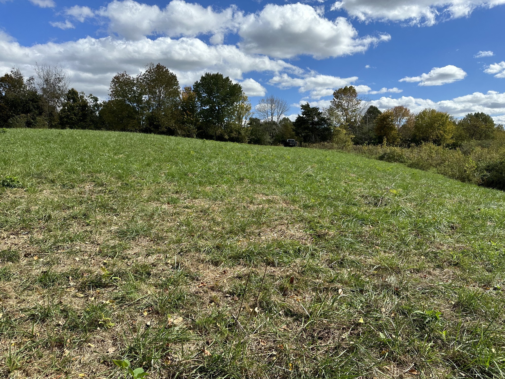 Image 4 of 24 For 9290 125th Avenue