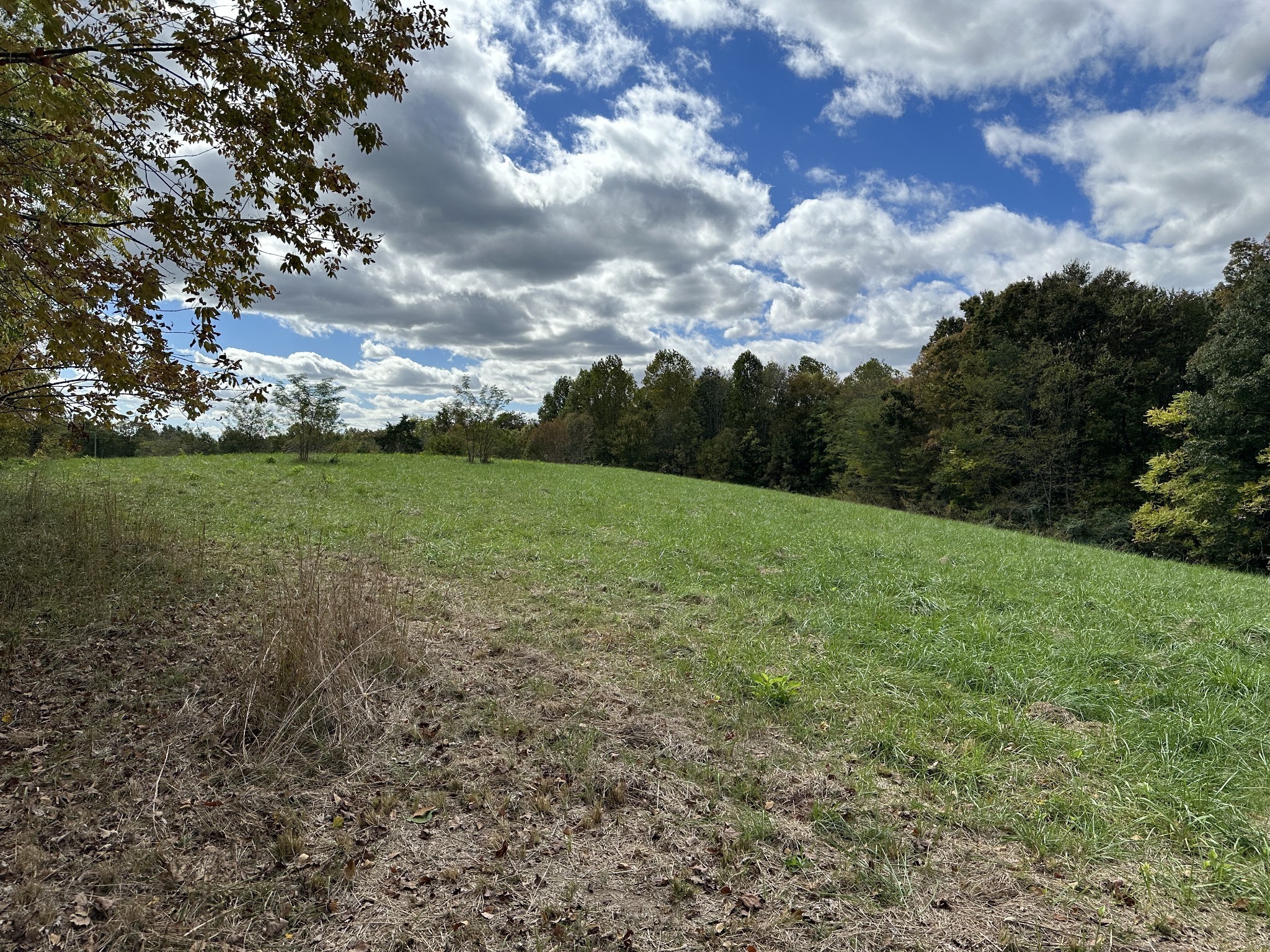 Image 5 of 24 For 9290 125th Avenue