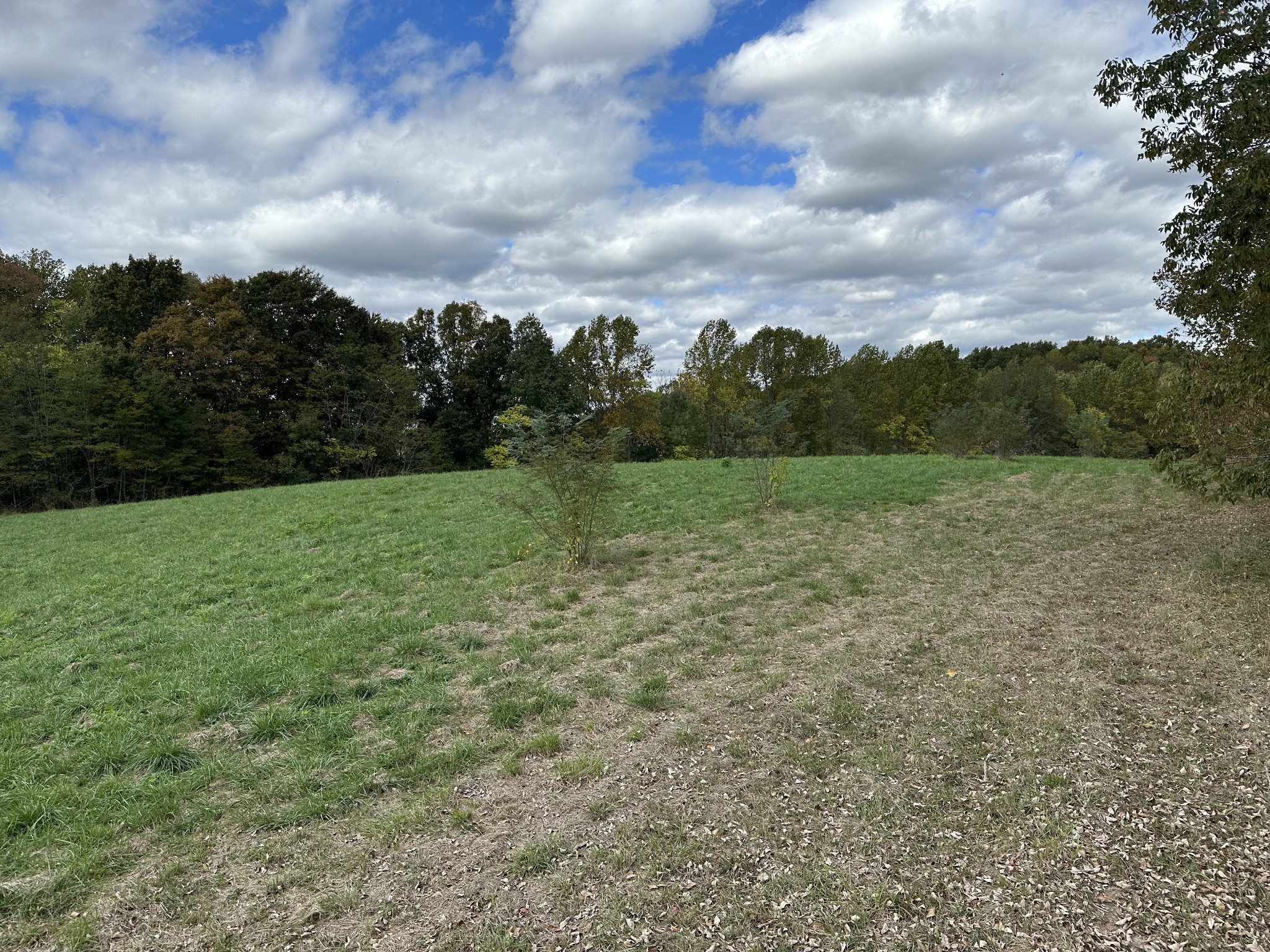 Image 6 of 24 For 9290 125th Avenue