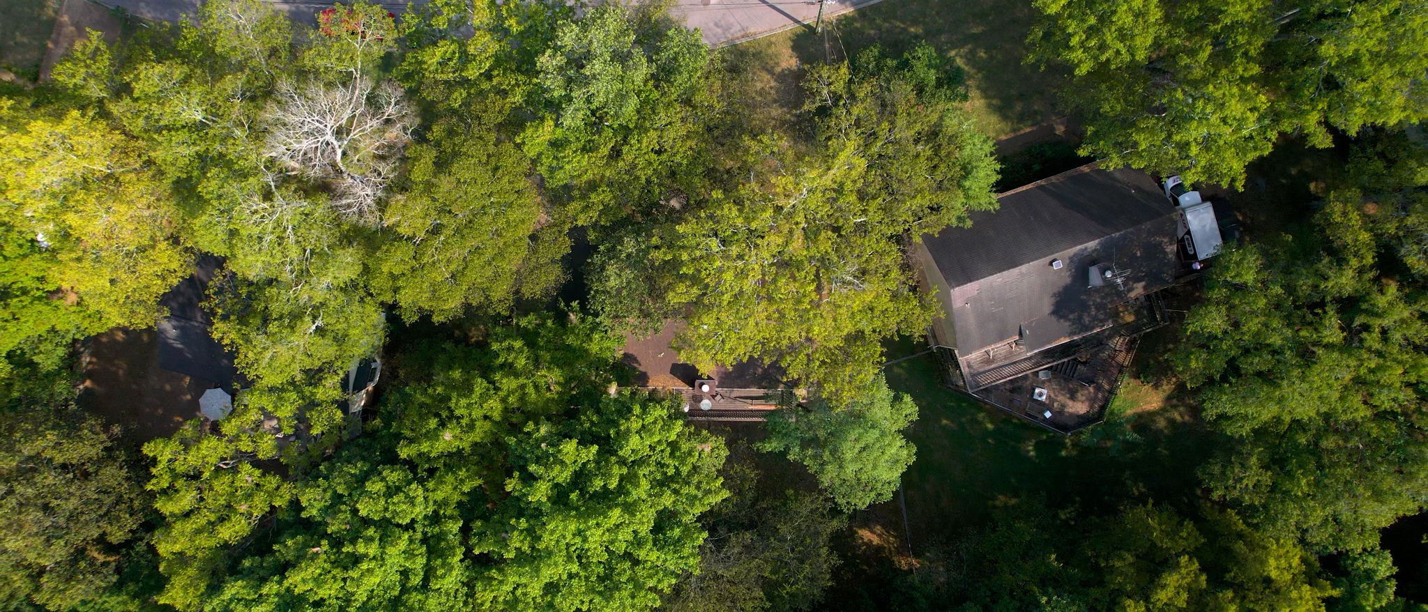 Image 41 of 64 For 1525 Amberjack Drive 8