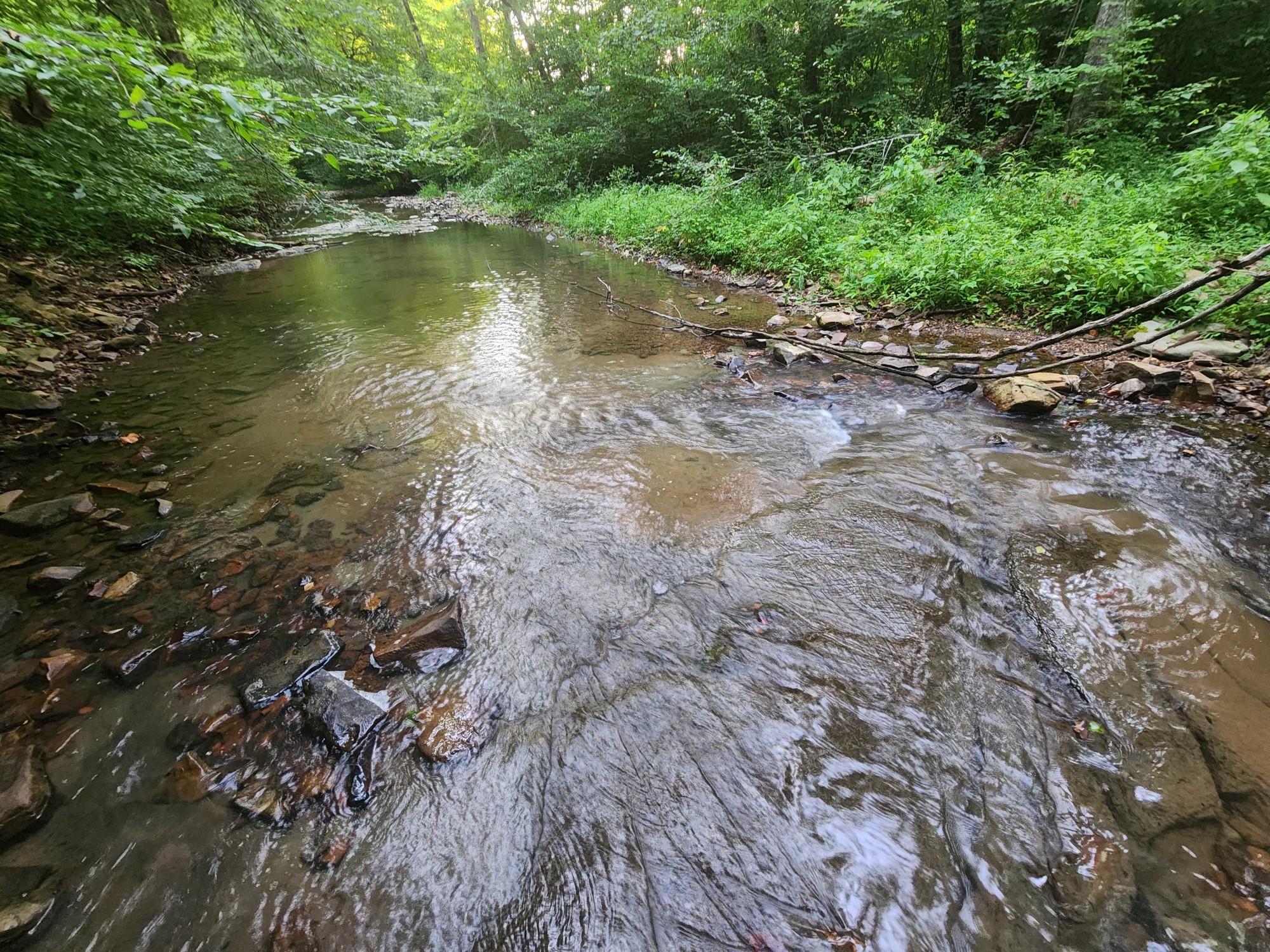 Image 17 of 27 For 0 Blowing Springs Rd