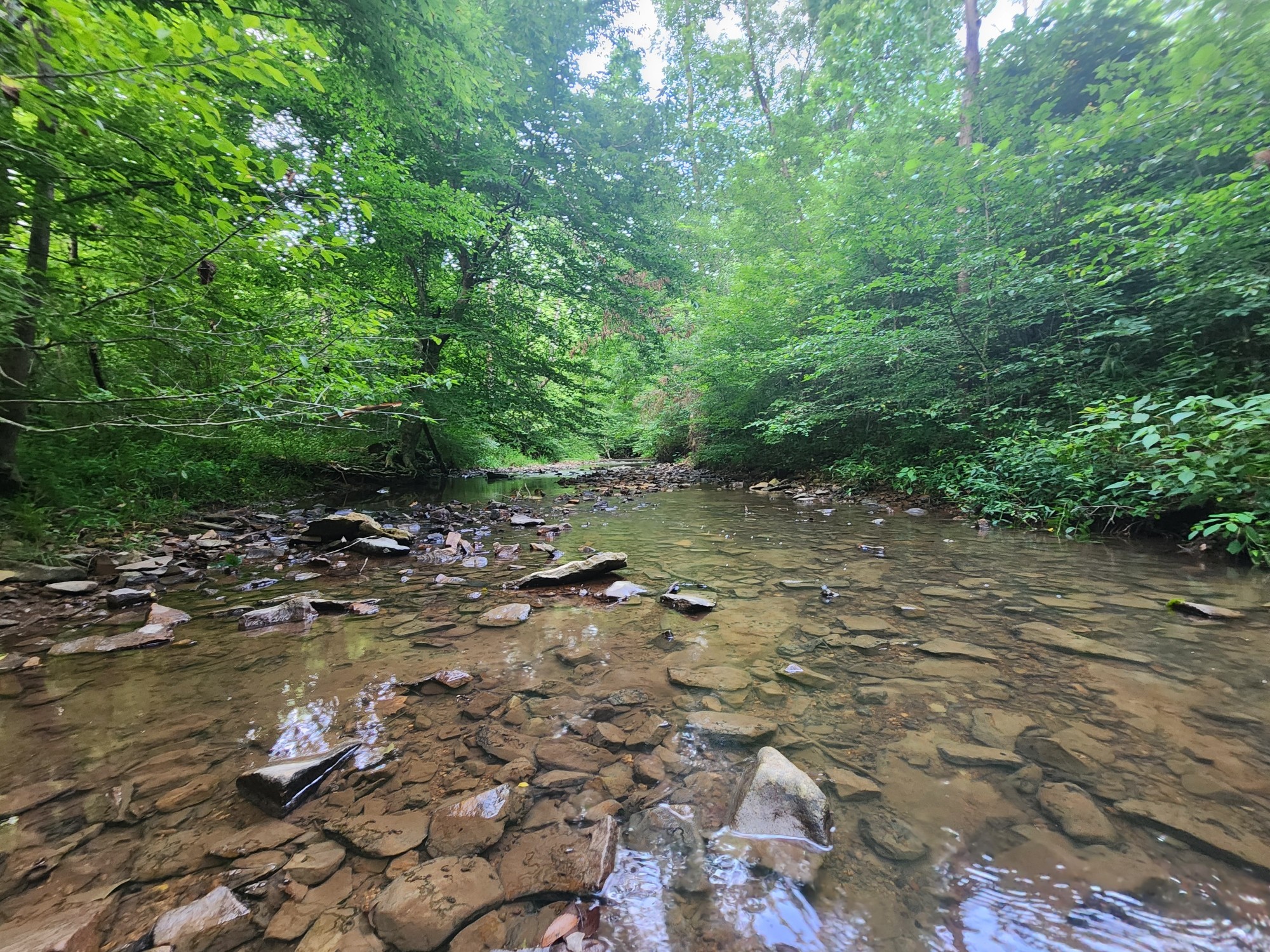 Image 8 of 27 For 0 Blowing Springs Rd