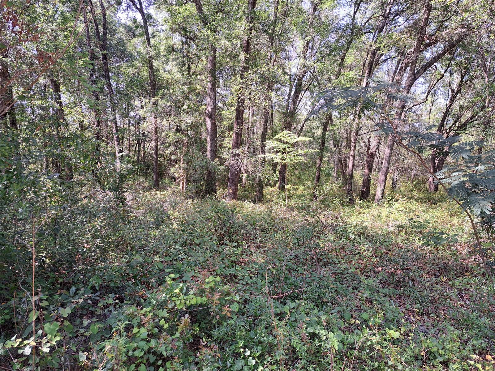 Details for  12th St  , OCALA, FL 34482