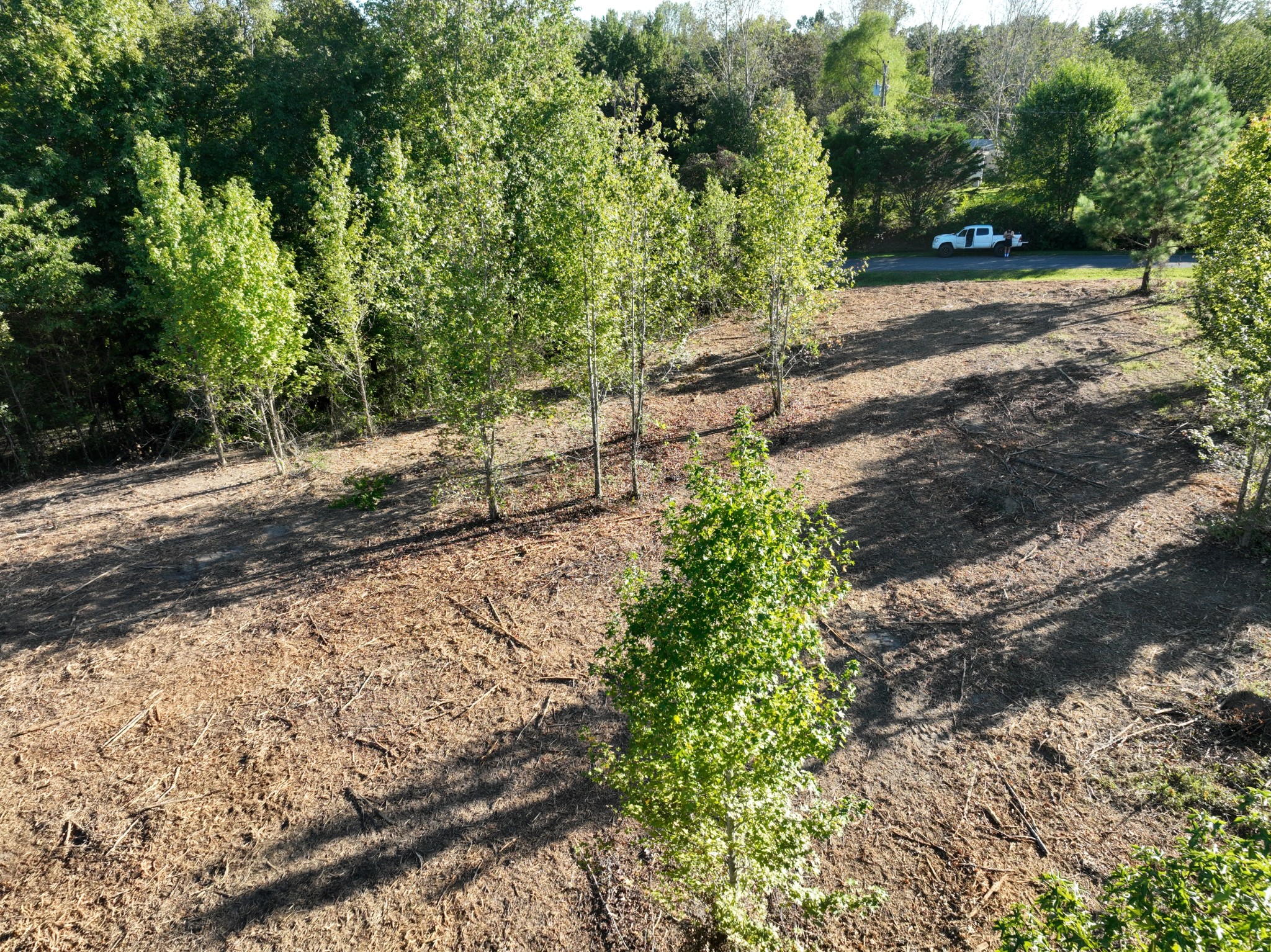 Image 7 of 9 For 0 Majors Cemetery Road