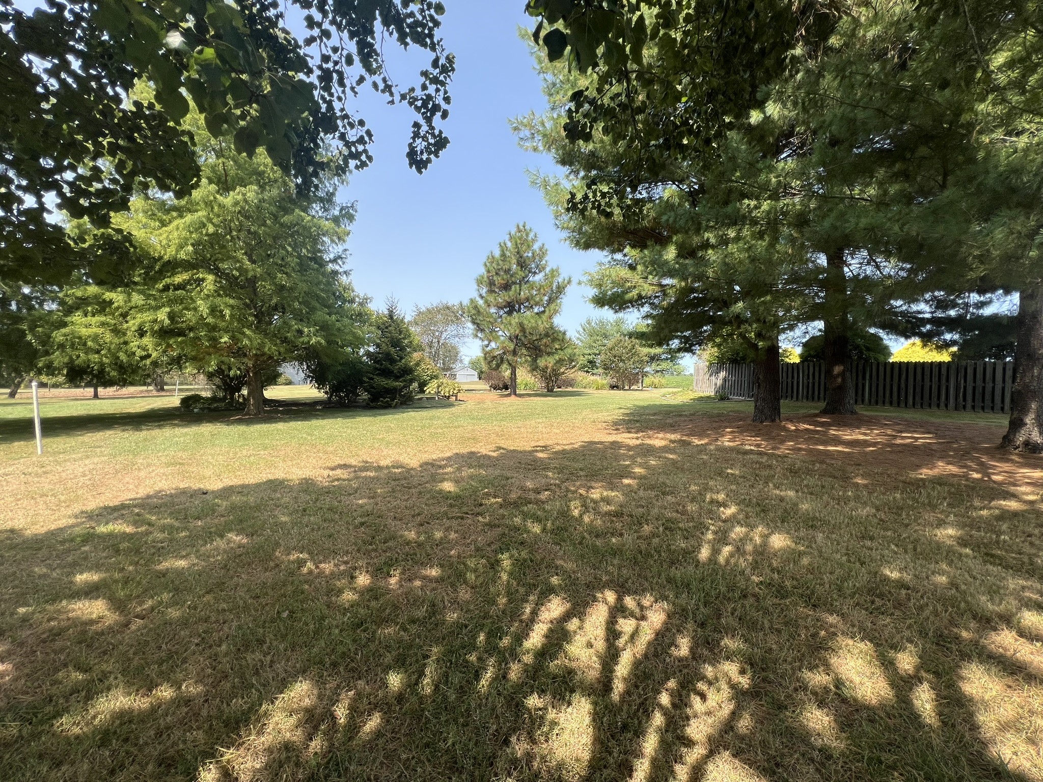 Image 12 of 25 For 7419 Torri Terrace