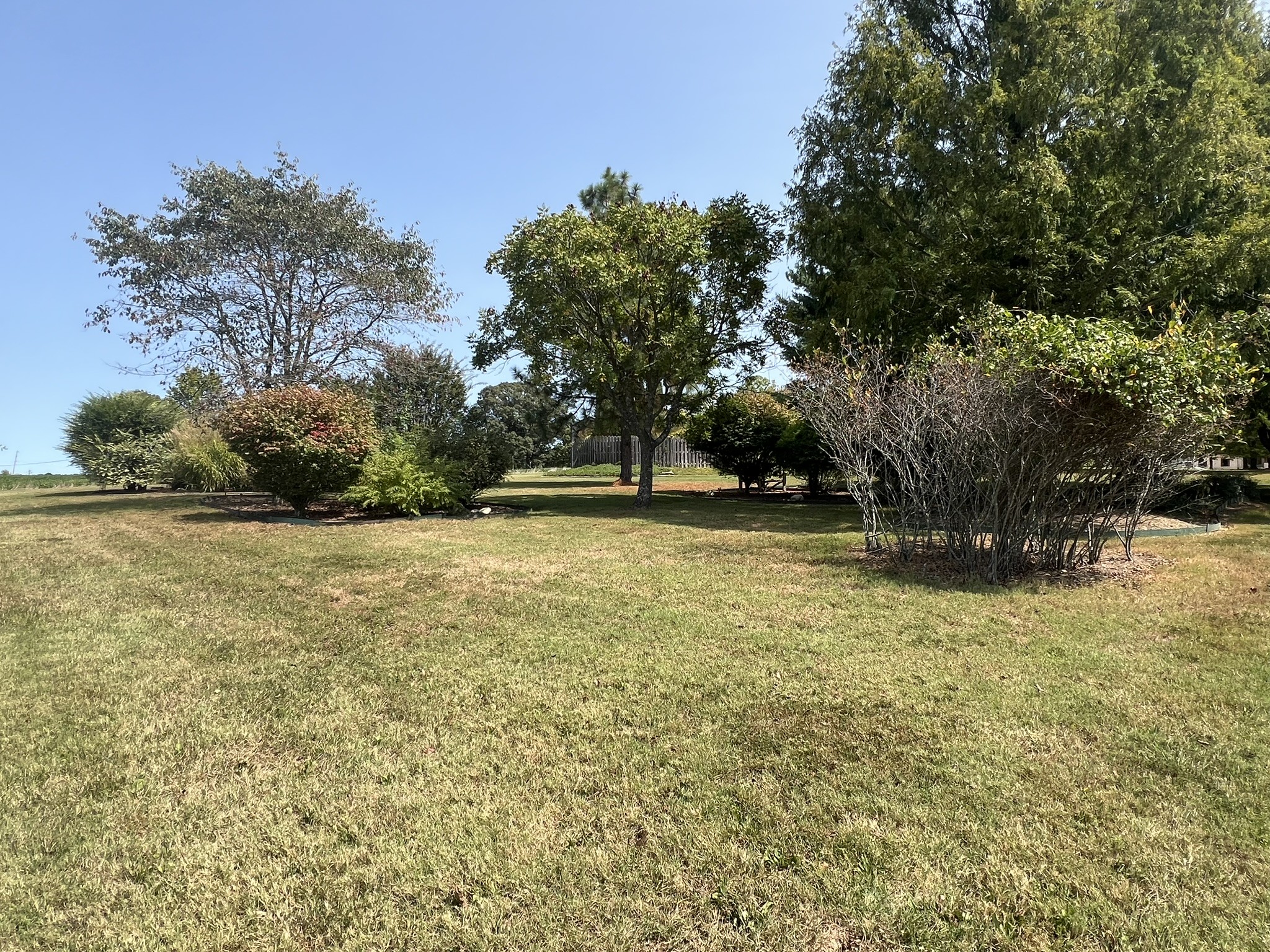 Image 14 of 25 For 7419 Torri Terrace
