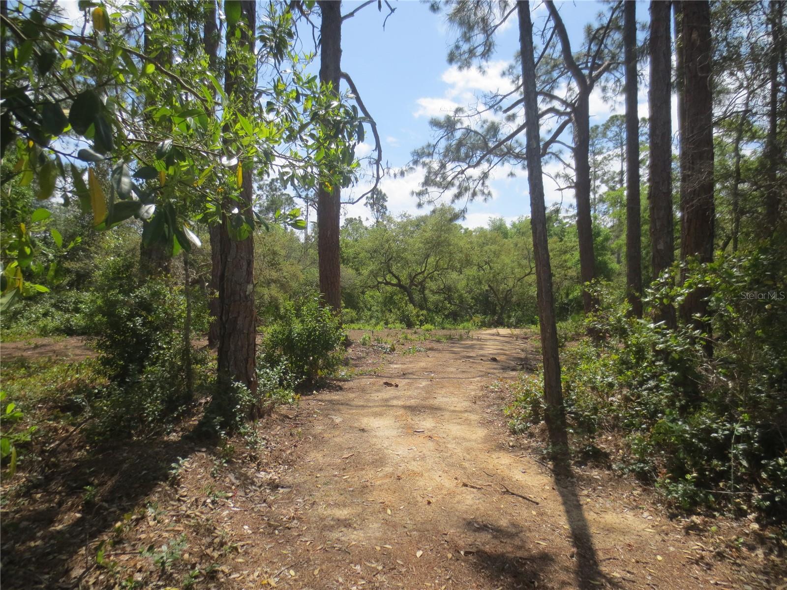 Image 15 of 70 For 0 10th Street