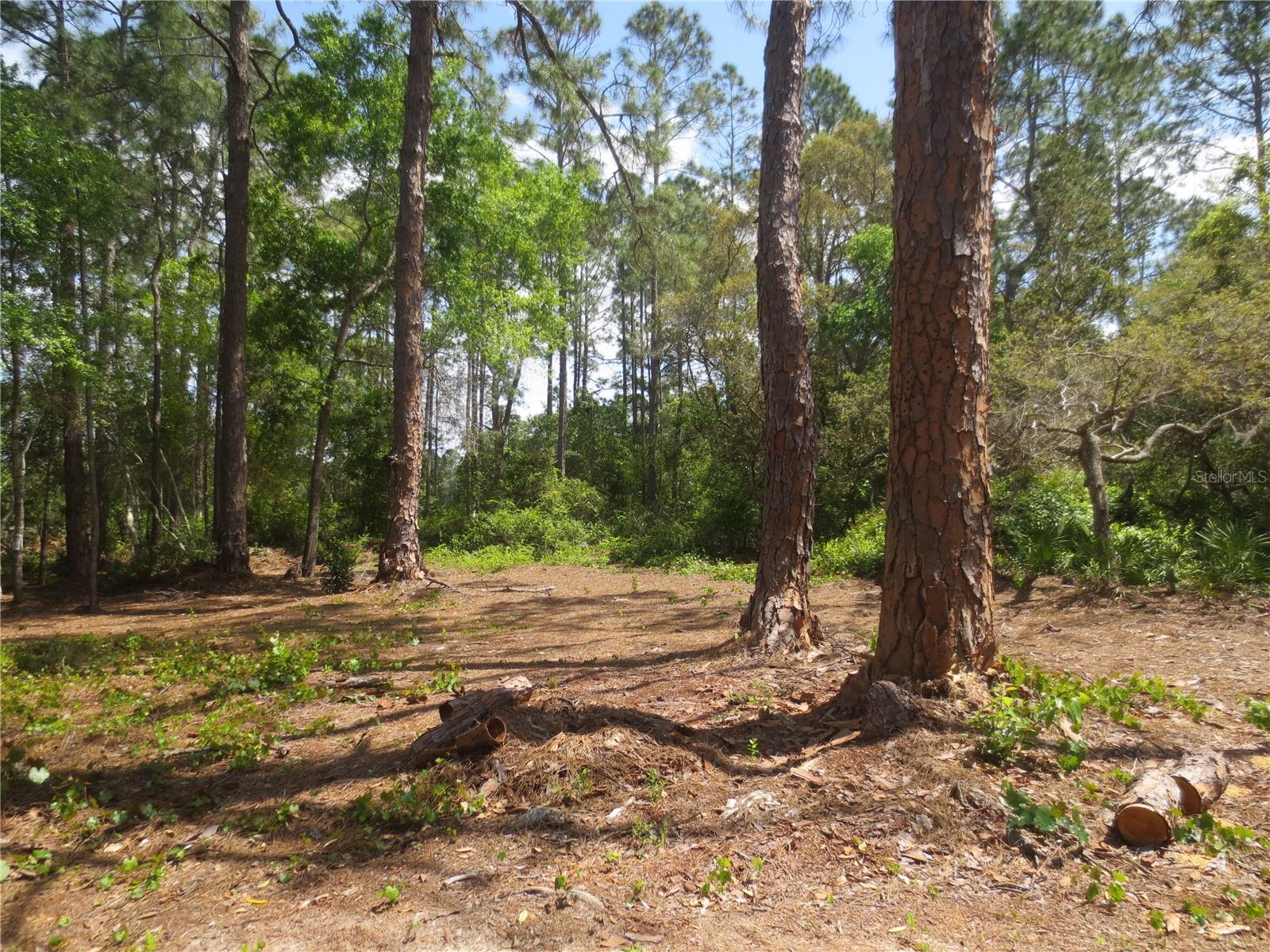 Image 16 of 70 For 0 10th Street
