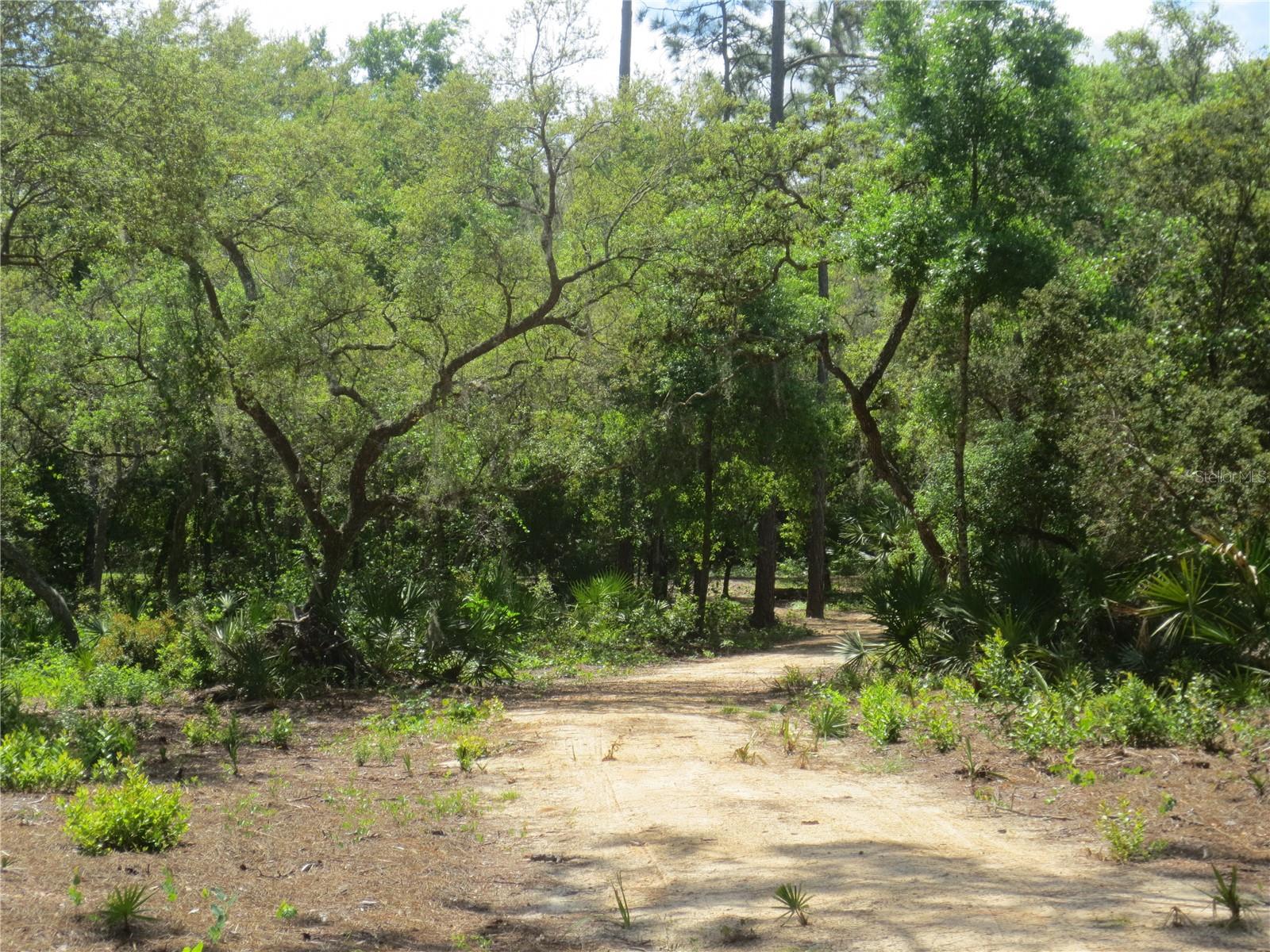 Image 17 of 70 For 0 10th Street