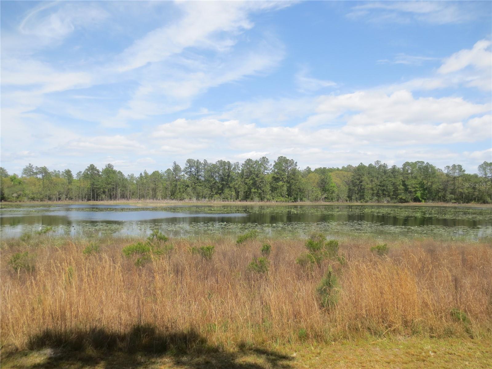 Image 19 of 70 For 0 10th Street
