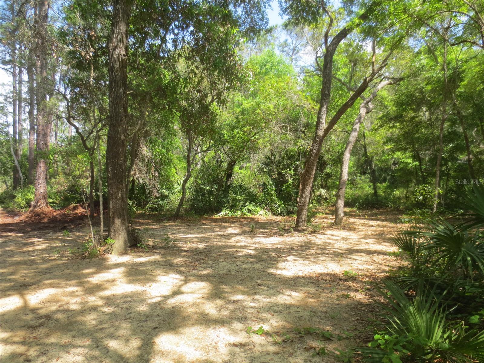 Image 30 of 70 For 0 10th Street