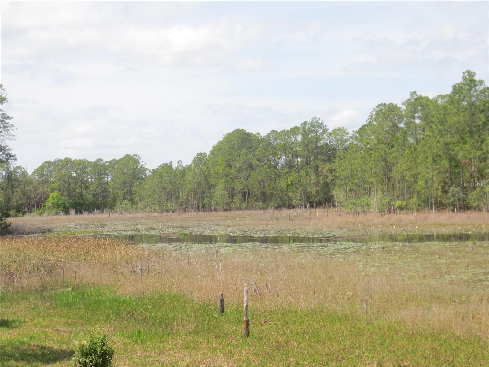 Image 5 of 70 For 0 10th Street