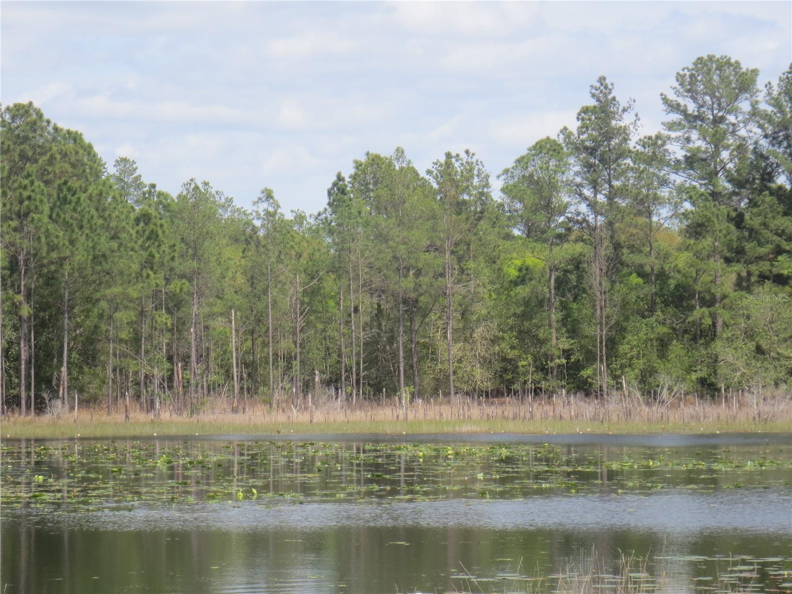Image 8 of 70 For 0 10th Street