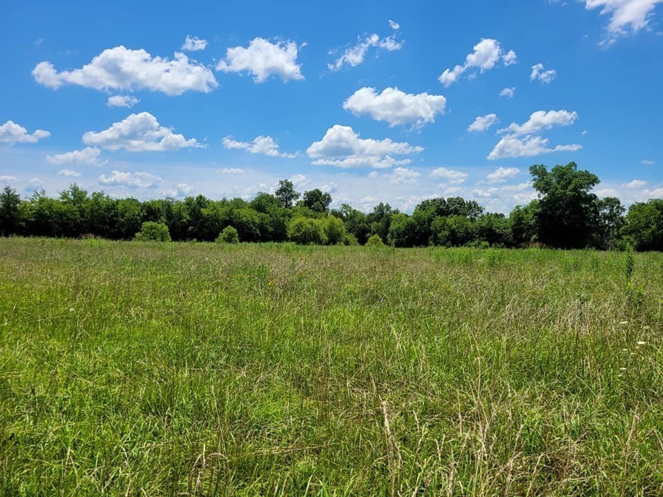 Details for 8735 192nd Court Road, DUNNELLON, FL 34432