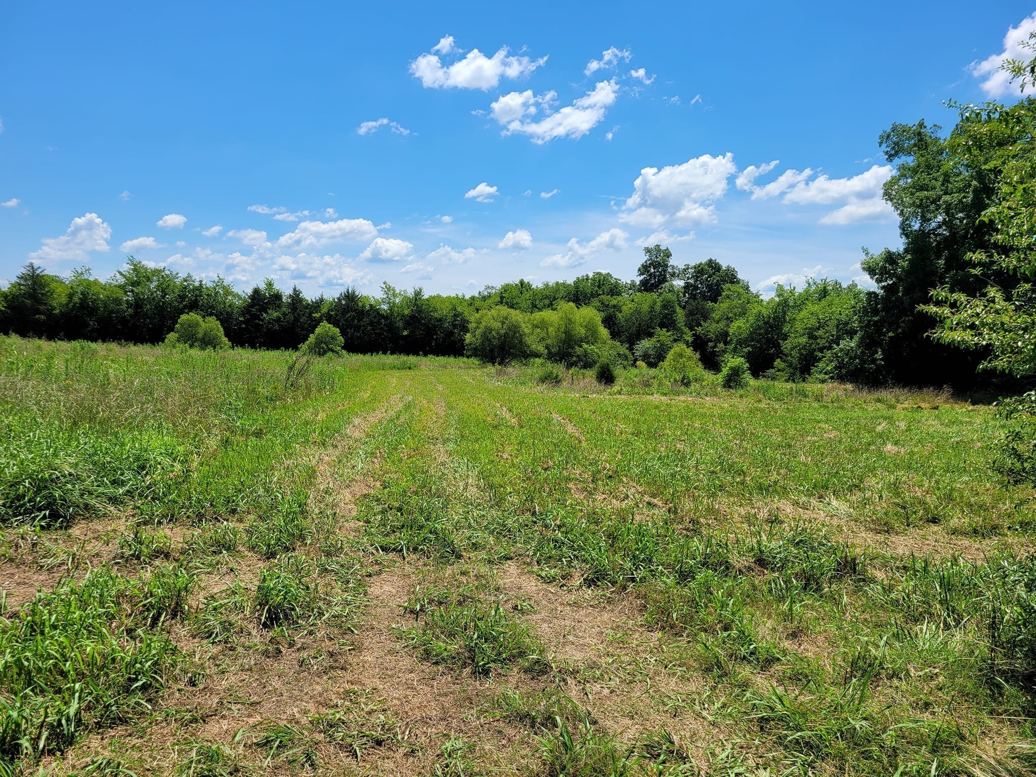Image 3 of 62 For 8735 192nd Court Road