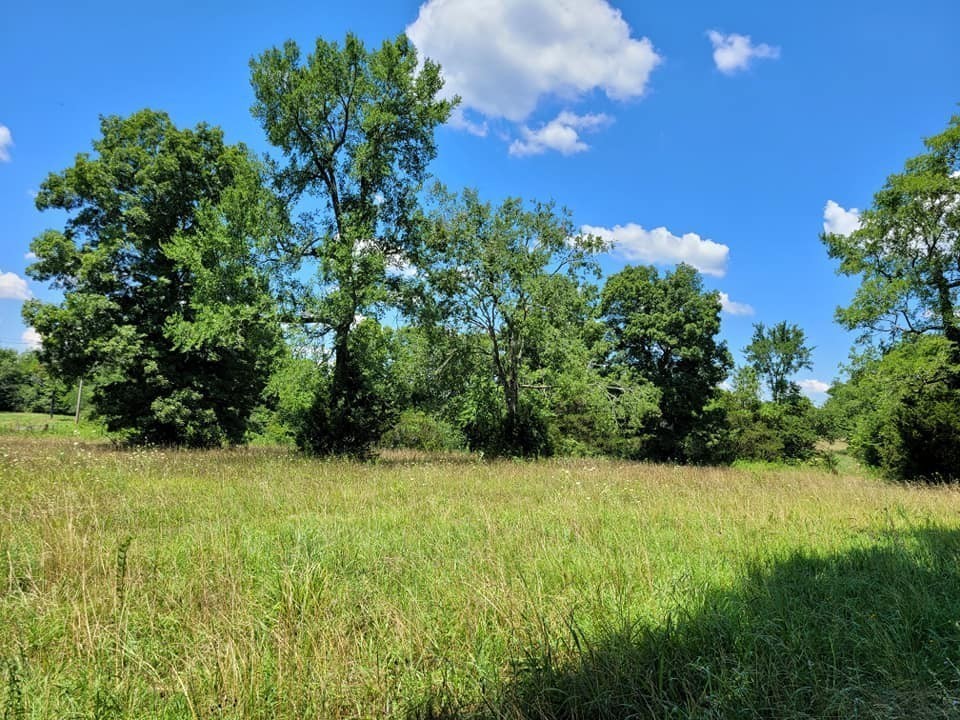 Image 7 of 62 For 8735 192nd Court Road