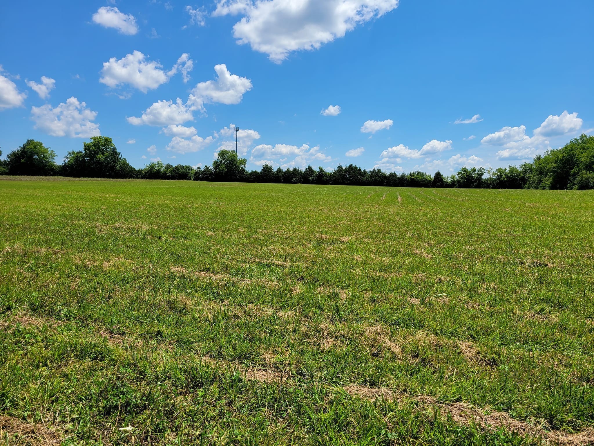 Image 8 of 62 For 8735 192nd Court Road