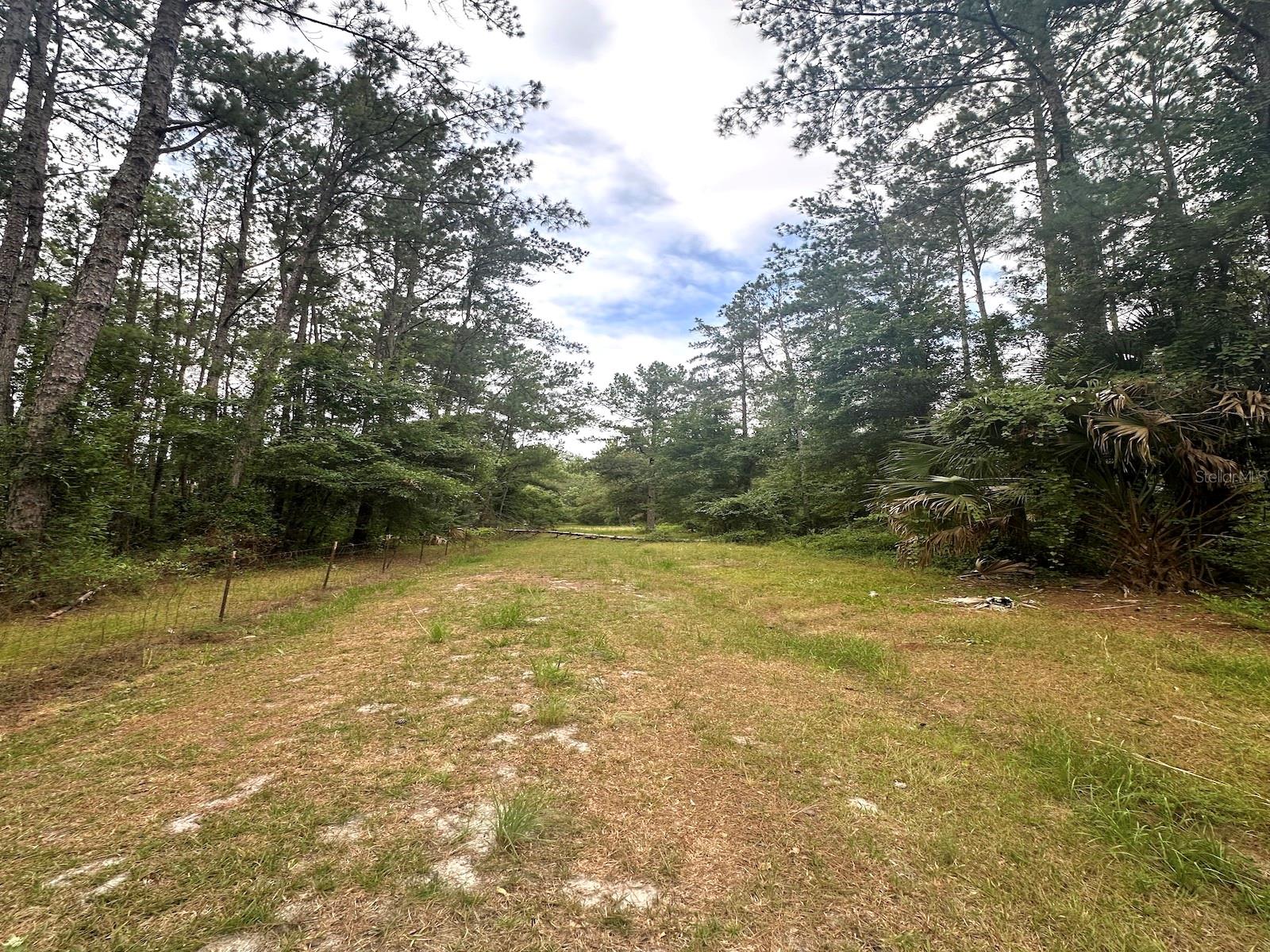 Image 14 of 28 For Tbd 105th Street