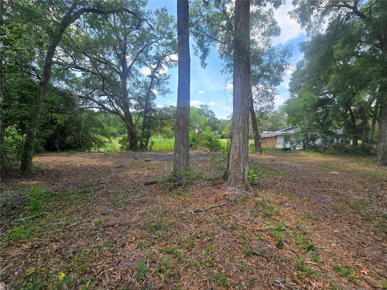 Image 9 of 11 For 6532 Iris Drive