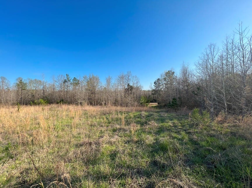 Details for 5410 62nd Avenue, OCALA, FL 34482