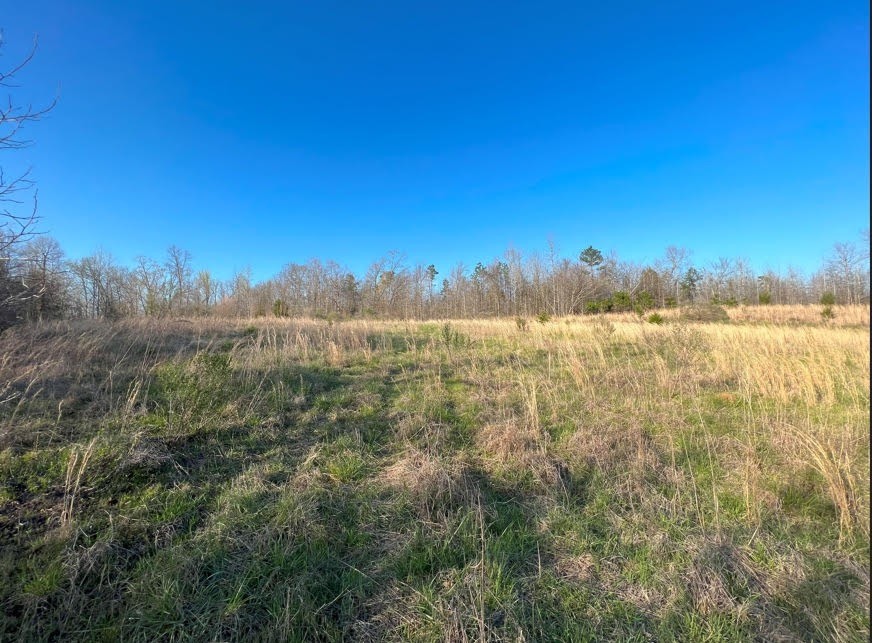 Image 3 of 24 For 5410 62nd Avenue