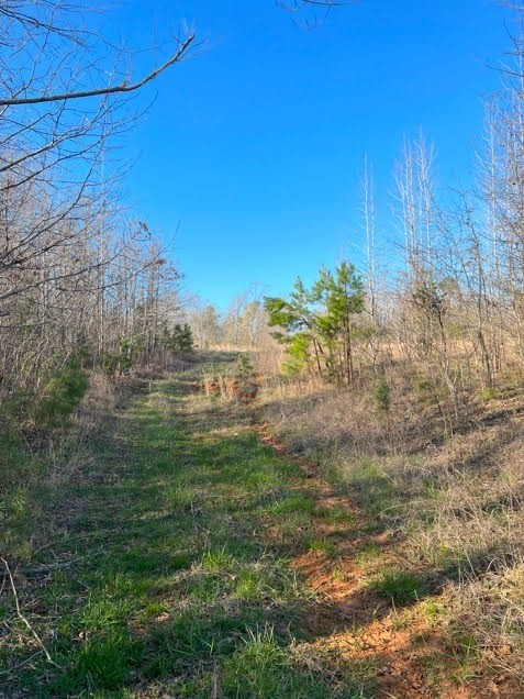 Image 5 of 24 For 5410 62nd Avenue