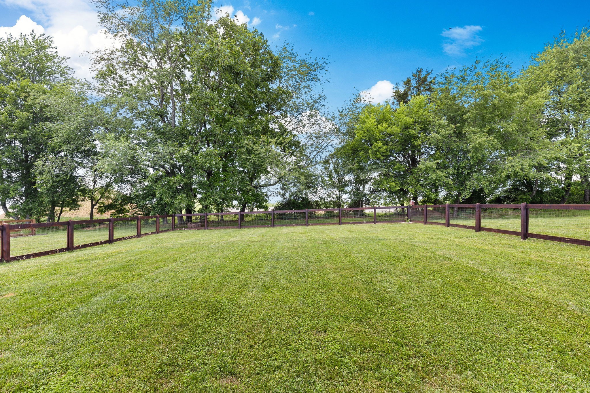 Listing photo id 23 for 8518 Las Palmas Way