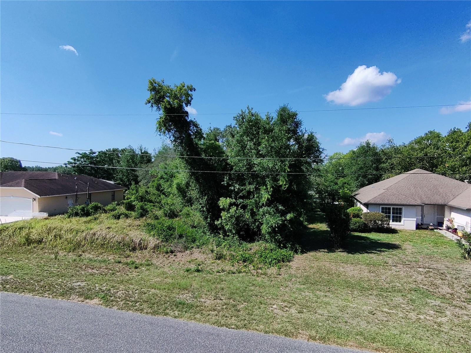 Details for  Olive Road , OCALA, FL 34472