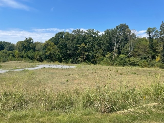 Image 5 of 24 For 4937 51st Road