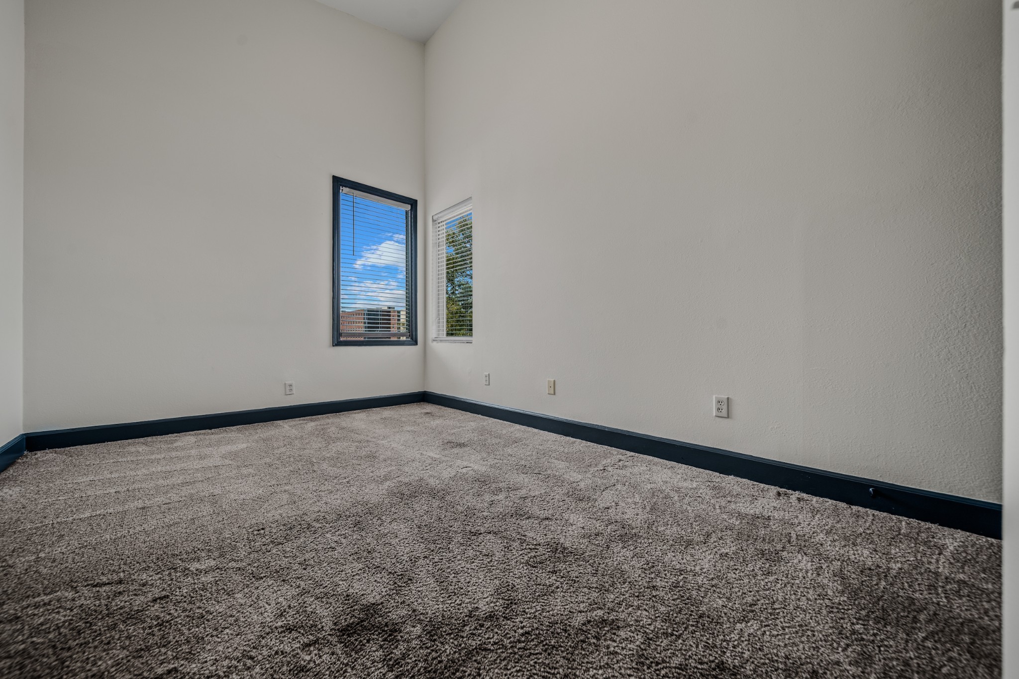 Listing photo id 30 for 2434 Walnut Heights Road