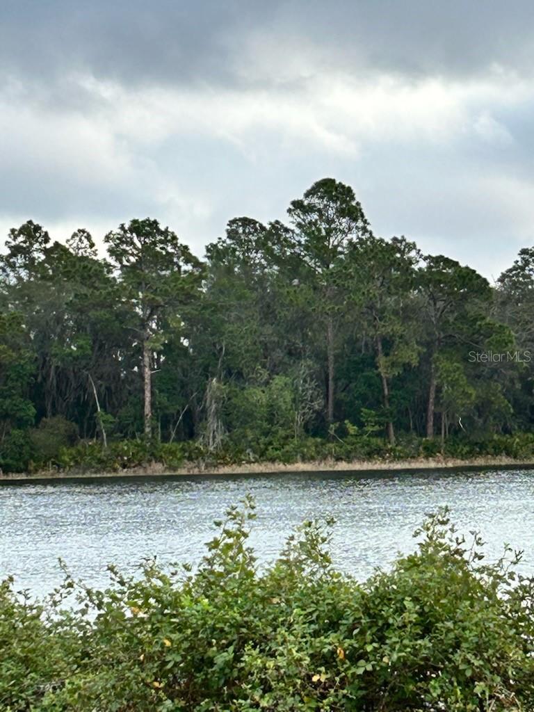 Details for Tbd Malauka Radial, OCKLAWAHA, FL 32179