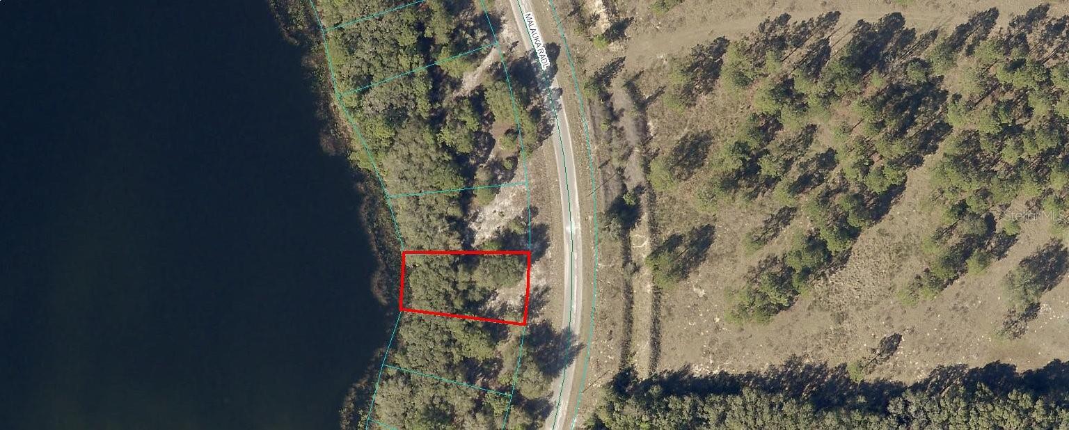 Image 7 of 7 For Tbd Malauka Radial