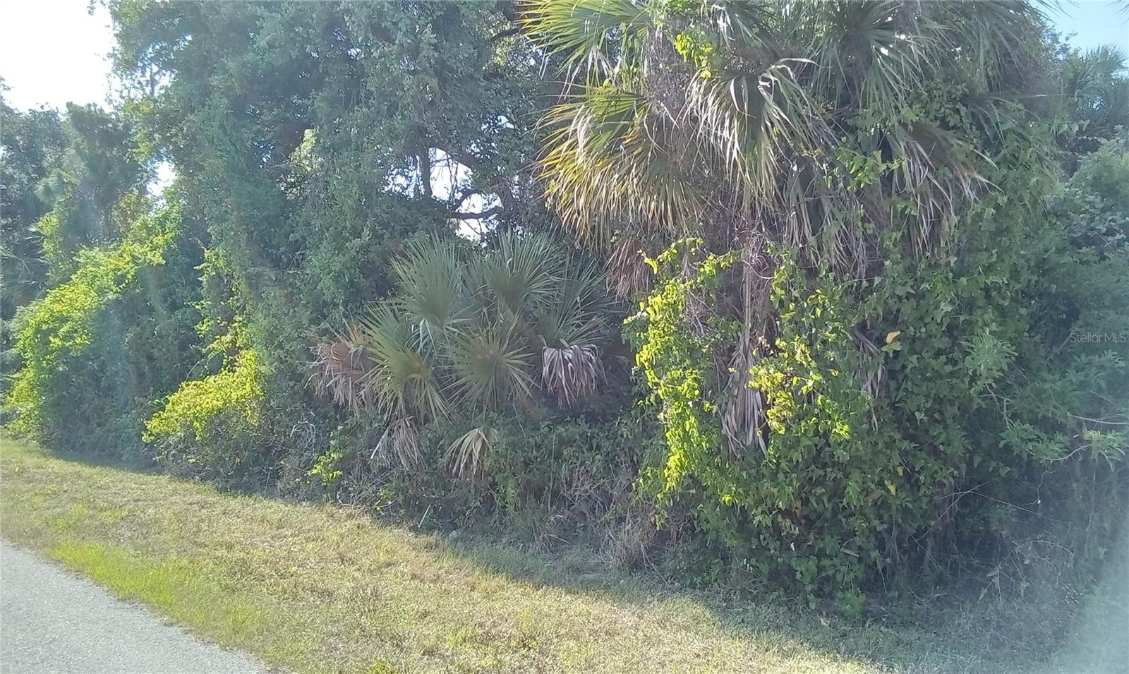 Image 4 of 7 For Blueberry Road