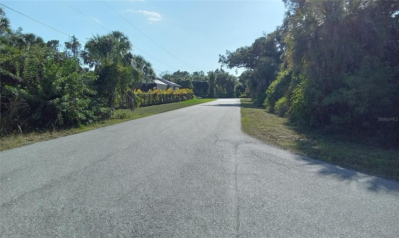 Image 5 of 7 For Blueberry Road