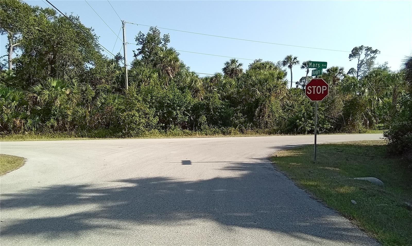 Image 7 of 7 For Blueberry Road