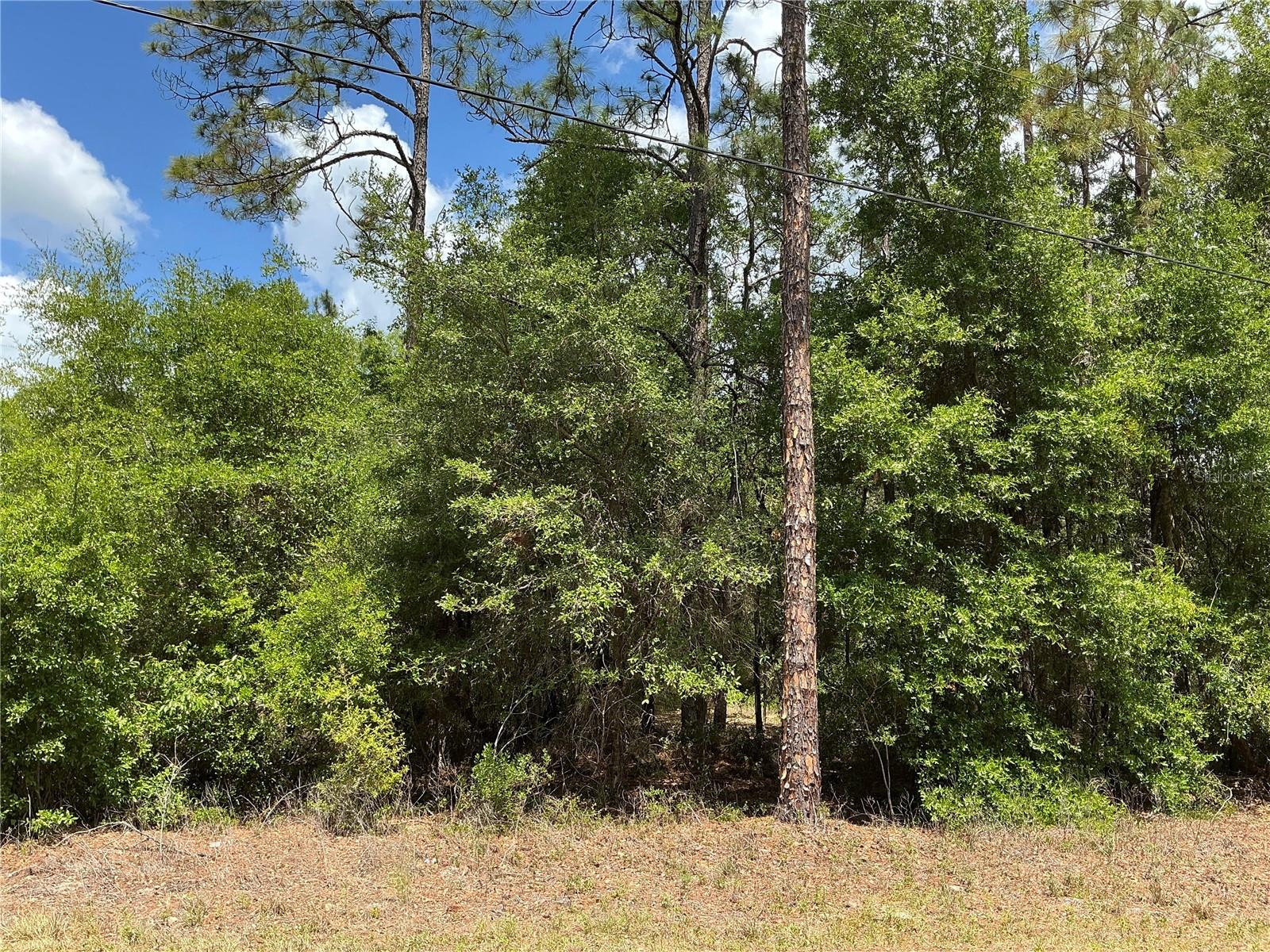 Details for Guava Pass Drive, OCKLAWAHA, FL 32179