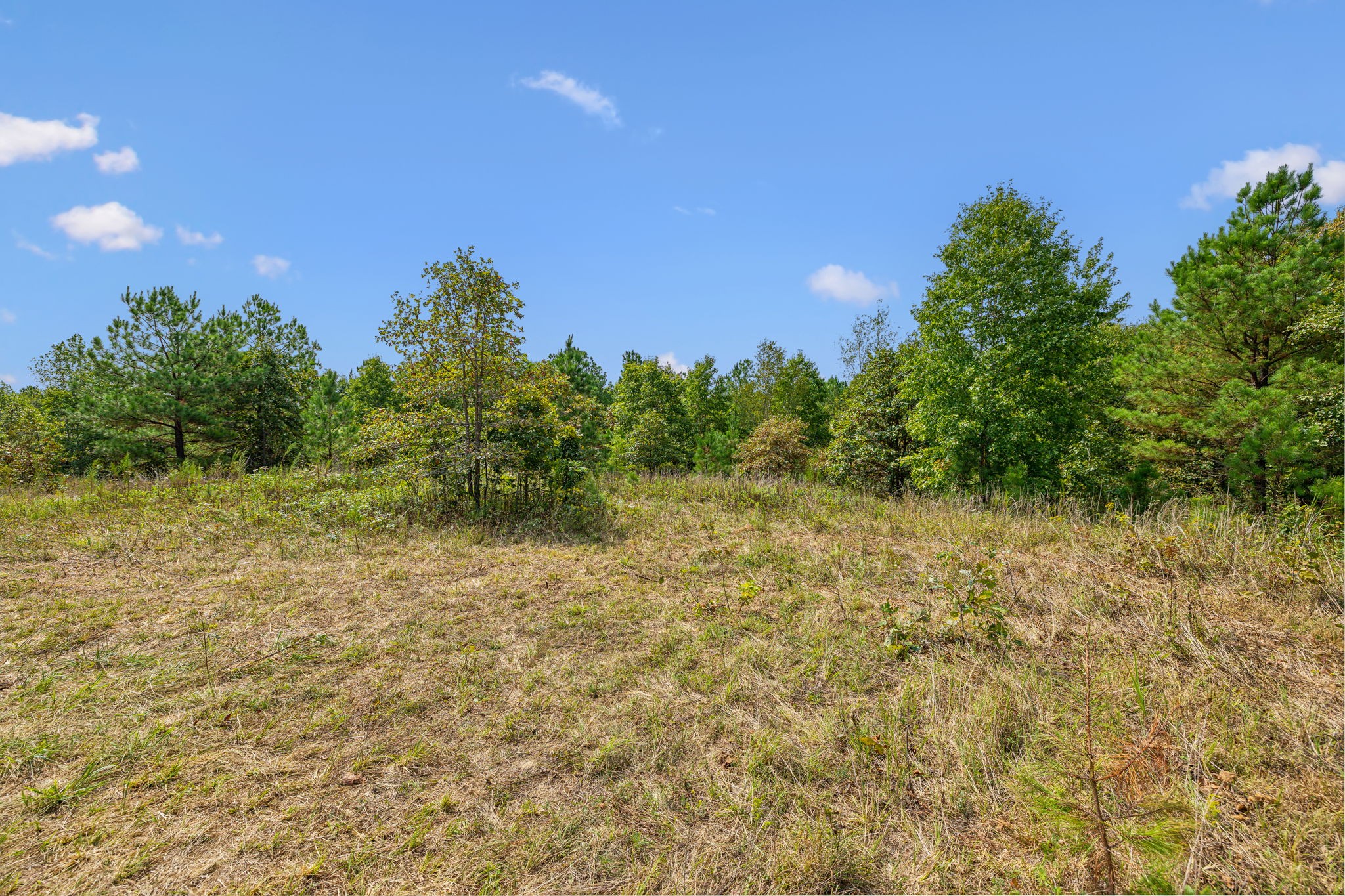 Image 26 of 45 For 7206 60th Lane