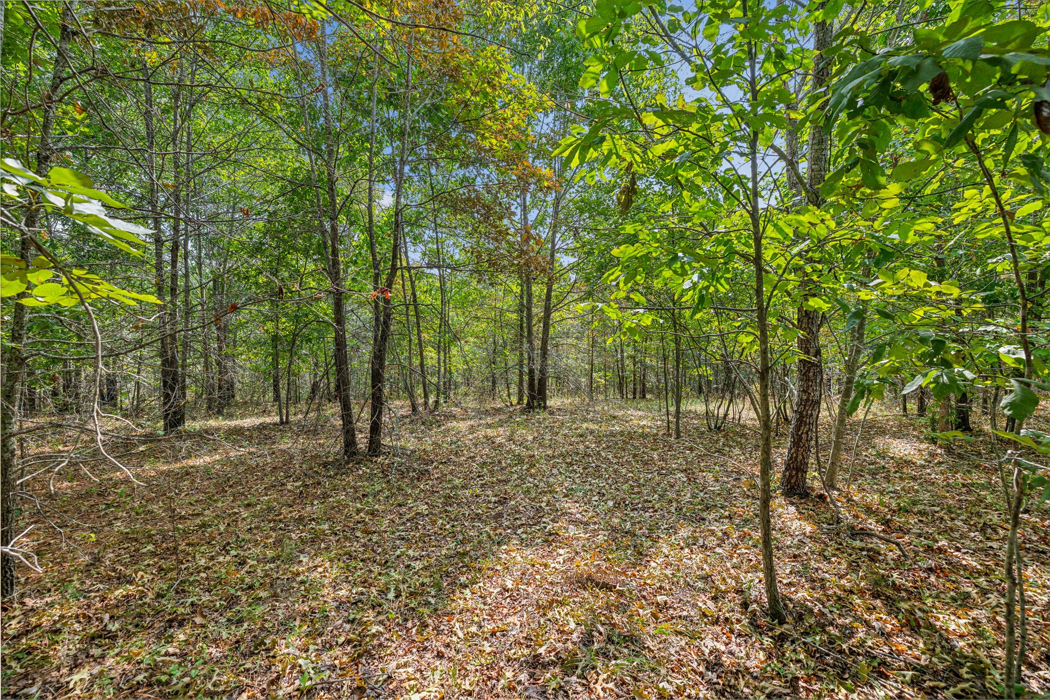 Image 27 of 45 For 7206 60th Lane