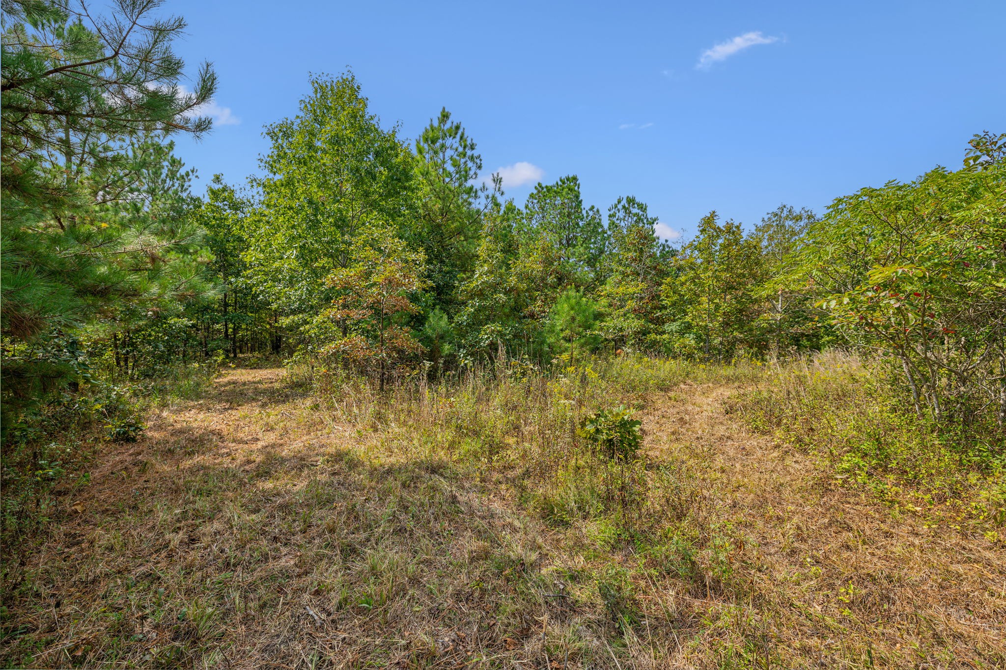 Image 29 of 45 For 7206 60th Lane