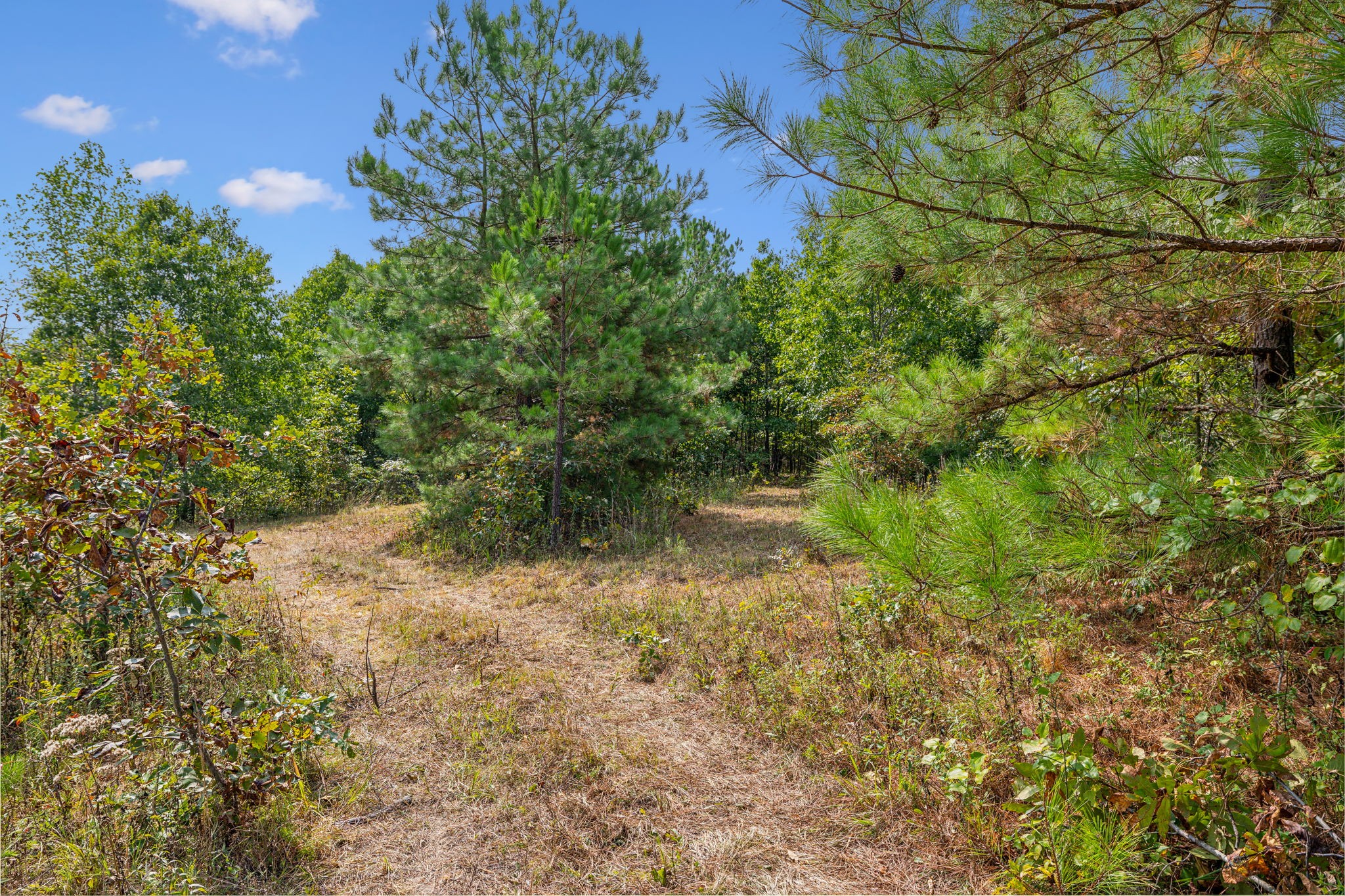 Image 30 of 45 For 7206 60th Lane