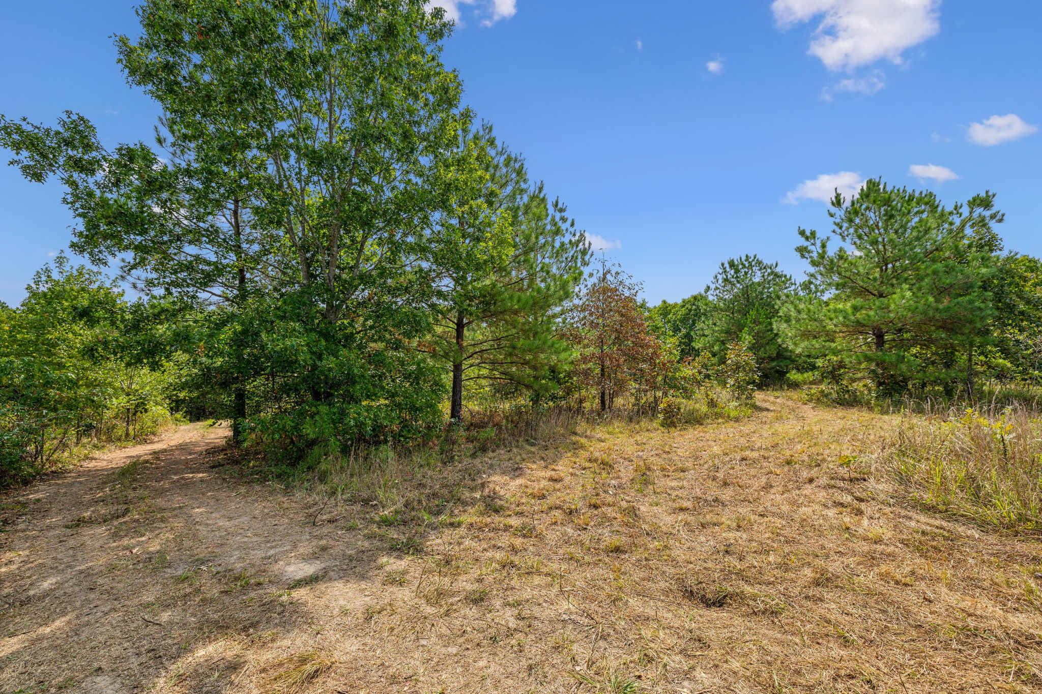 Image 31 of 45 For 7206 60th Lane
