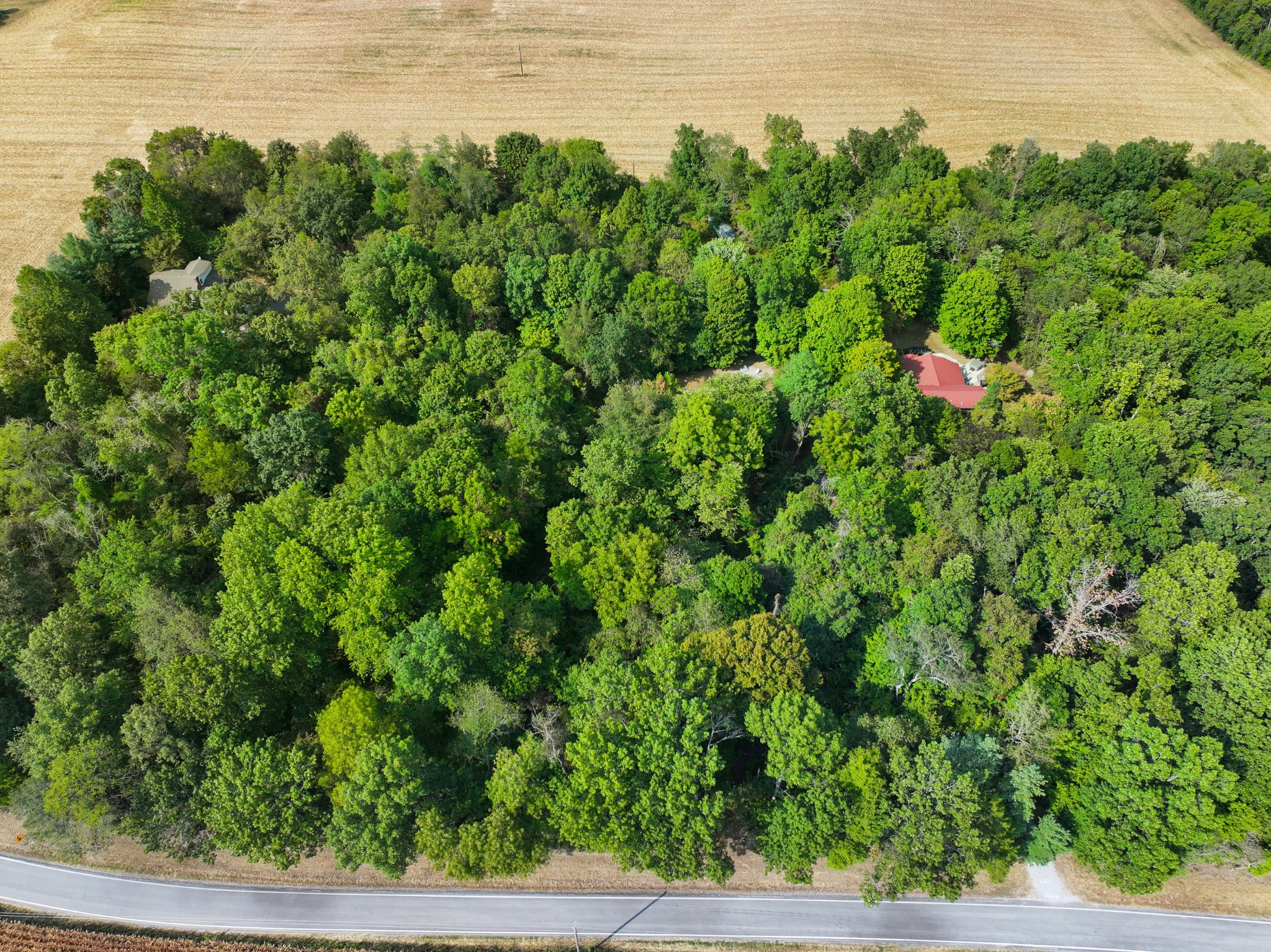 Details for 9750 97th Place, OCALA, FL 34481