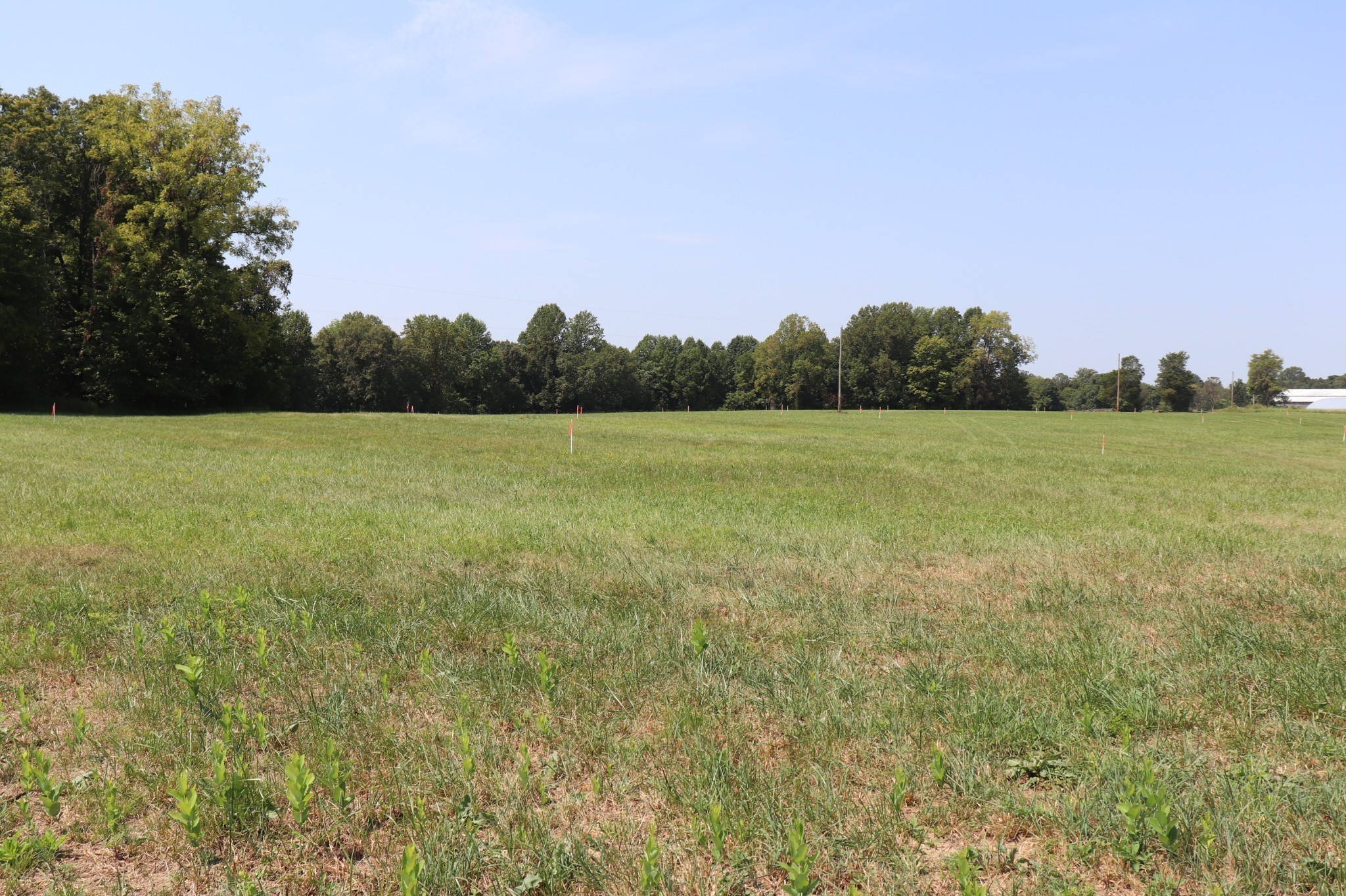 Image 7 of 7 For 13502 County Road 109e-1