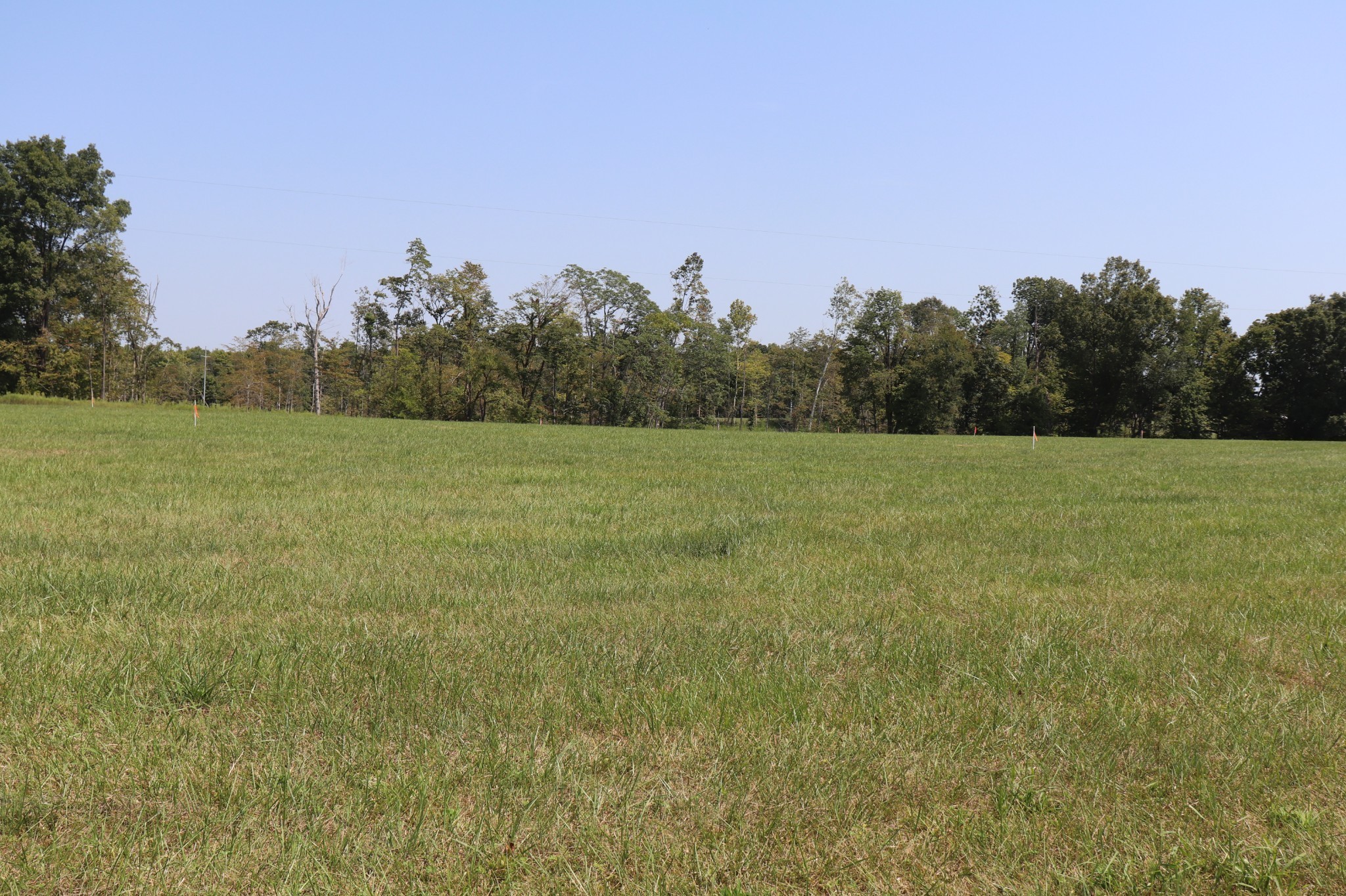 Image 10 of 94 For 7710 Park Byrd Road