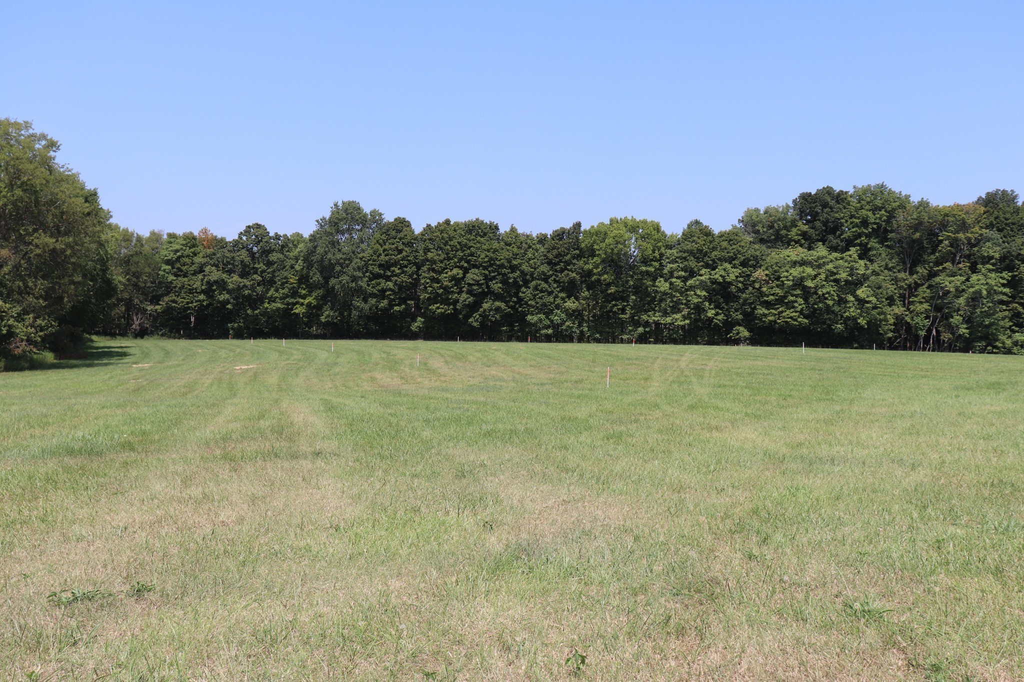 Image 11 of 94 For 7710 Park Byrd Road