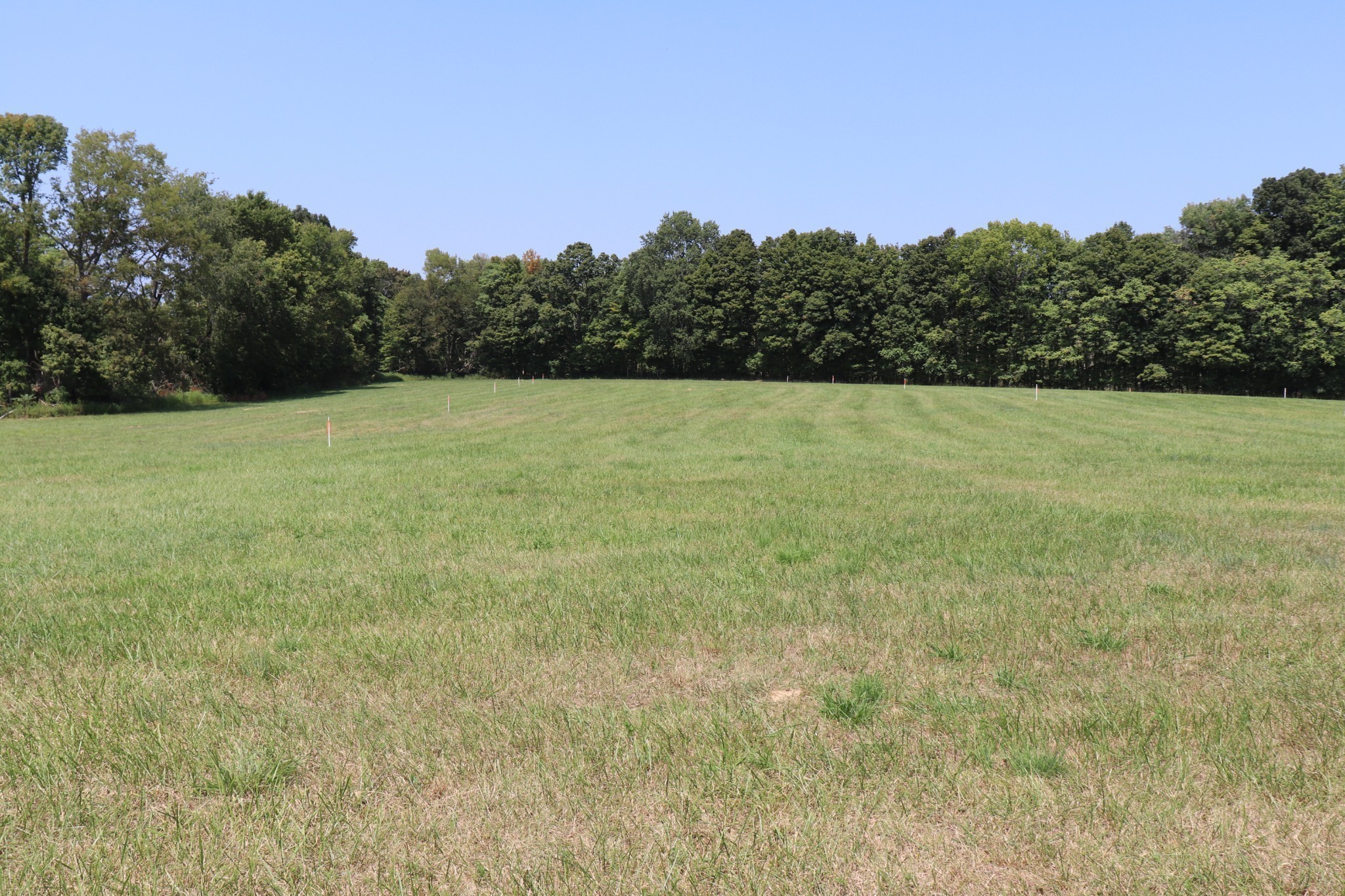 Image 12 of 94 For 7710 Park Byrd Road