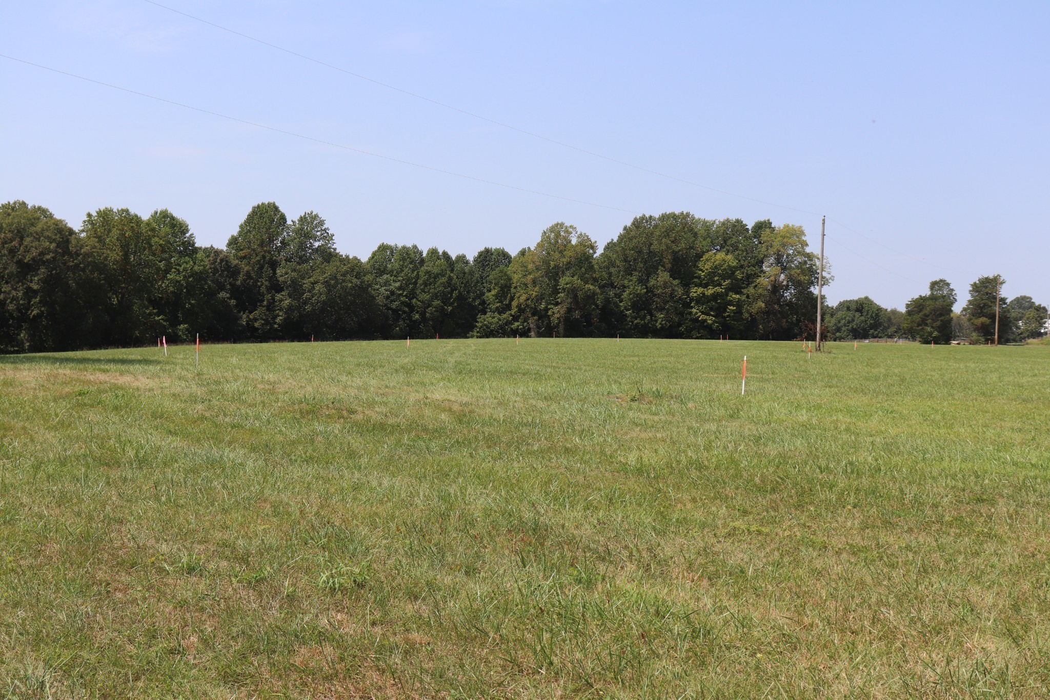 Image 8 of 94 For 7710 Park Byrd Road