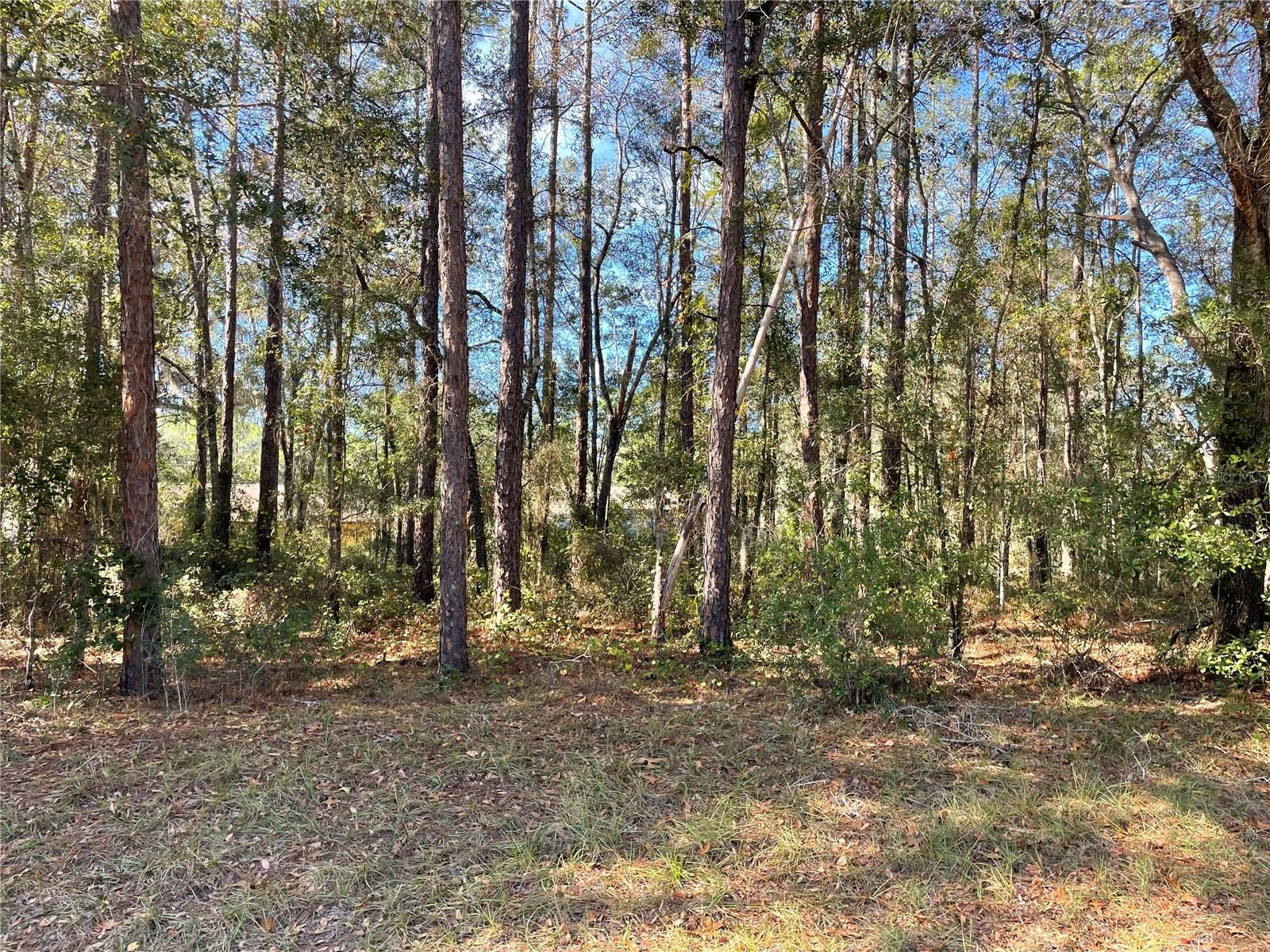 Image 5 of 6 For 10380 Sherman Drive